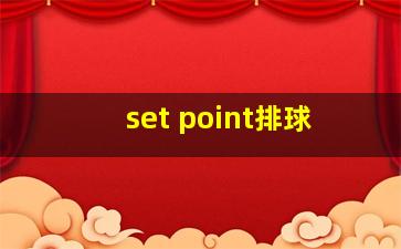 set point排球